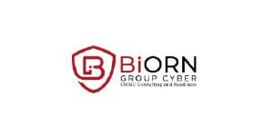 Biorn Group Cyber